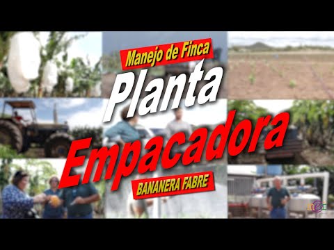 Manejo de Finca: Planta Empacadora 4/5