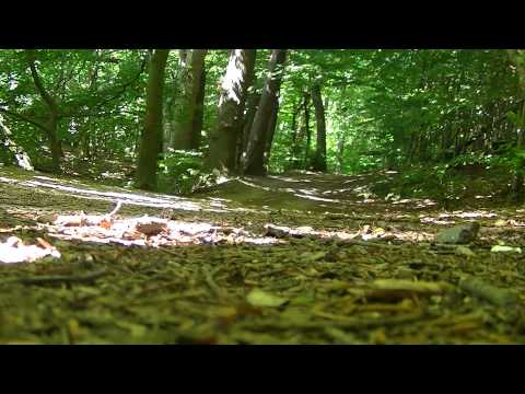 MongoTV_548 - Del 6 - MONGO TV 1 ÅRS FØDSELSDAG - Skovtur Torsdag 13.August 2015