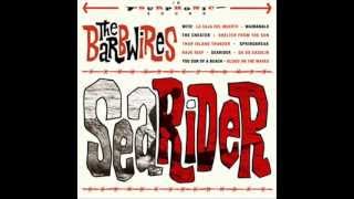 The Barbwires with The Blue Ocean Orchestra - Searider