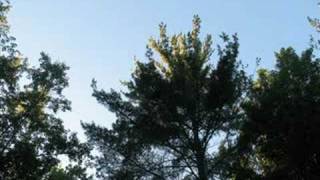 Fleetwood Mac Whats The World Coming To?