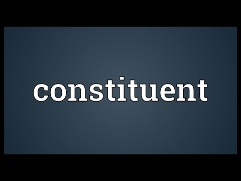 Constituent Meaning