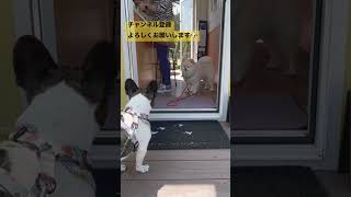互いに硬直してます😂（笑）"We are both being rigid"