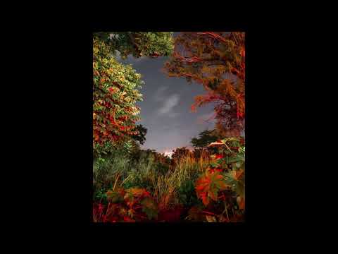 [FREE] Palagin type beat - "LATINUS" (Prod. by MONOLOG)