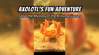Stormfly & The Mystery of the Missing Glasses!  | Axolotl Glasses Fun