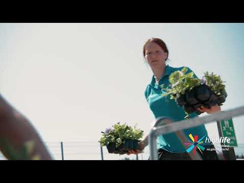 YouTube Video Preview