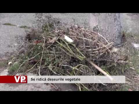 Se ridică deșeurile vegetale