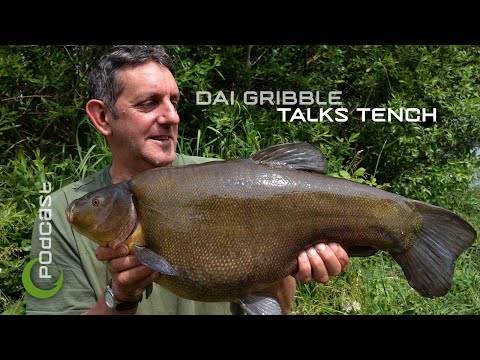 How To Catch Big Tench With Dai Gribble