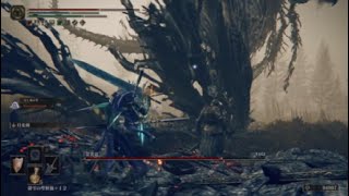 エルデンリングDLC 霊炎竜 (影のアルター)【ELDEN RING SHADOW OF THE ERDTREE】