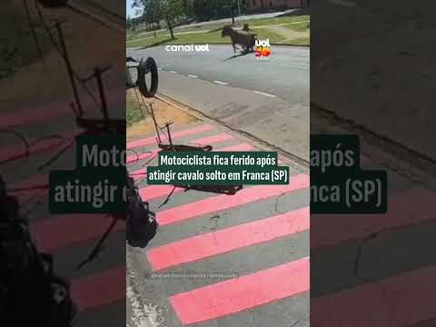 Motociclista atinge cavalo solto em avenida de Franca, São Paulo