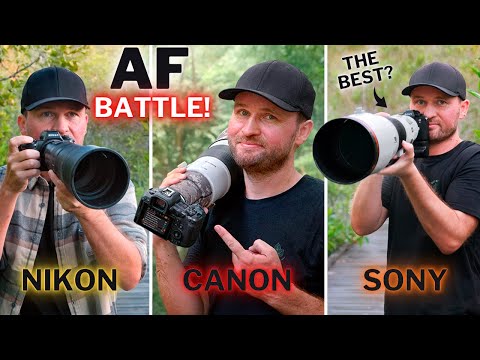 Warum alle Sonys Autofokus lieben…aber die meisten Canon & Nikon bevorzugen!