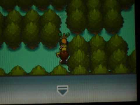 Pokemon Soul Silver playthrough part 16: deadly wood