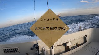 東京湾で鯛を釣りたい