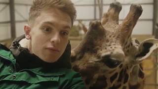 "Jobsworth" feat Joe Weller - Animals
