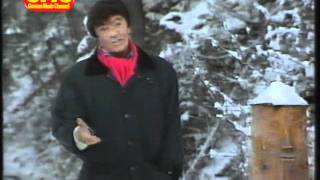 Rex Gildo - Waldweihnacht