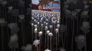 10,000 ROSES CAFÉ IN CORDOVA CEBU