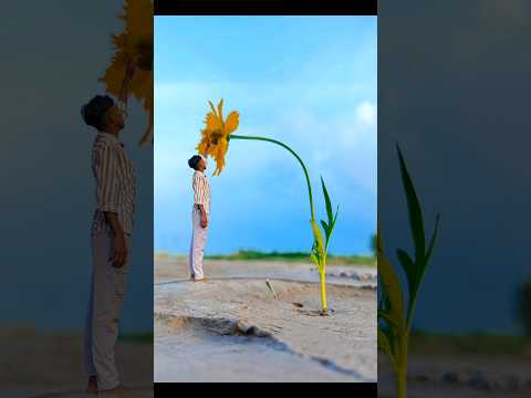 flower amazing photo idea 🌻👀 #shorts #photography