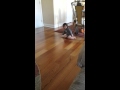 BABY Dancing To Hot DOG HOT DOG HOT DIGGITY DOG Mickey MOUSE Clubhouse