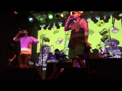 lo nuevo de marciano's crew