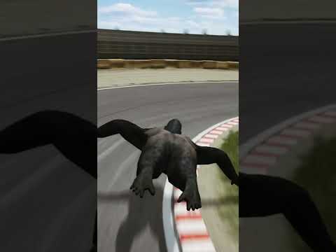 flying gorilla time attack at Tsukuba circuit