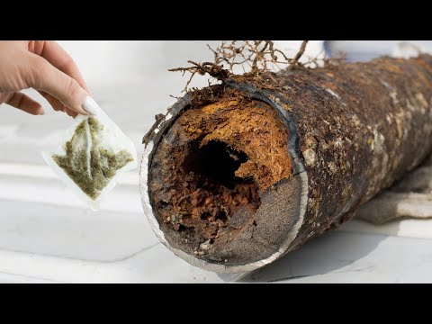 Put mint tea in the drain! Even the rich do it