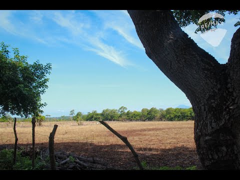 img-video