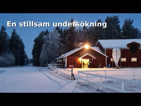 En stillsam paranormal undersökning på min arbetsplats