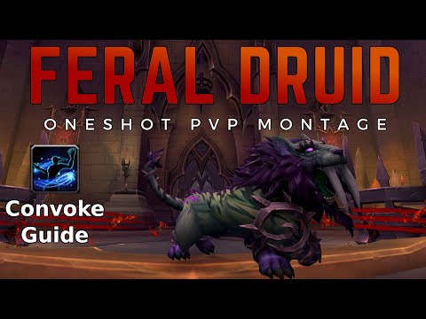 One Shot PvP Montage + Full Convoke Guide for Feral Druid (WoW Shadowlands)