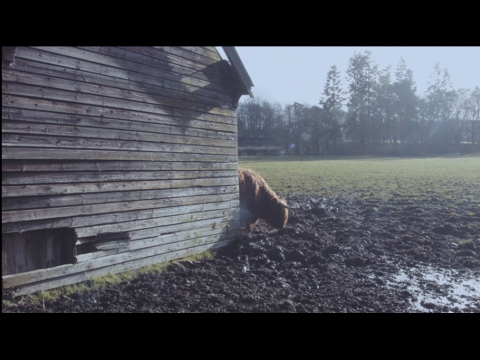 Son (A 2017 BMPCC Raw Film)