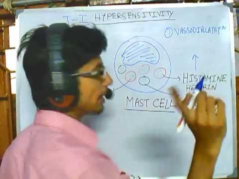 Type 1 hypersensitivity