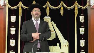 הרב אדיר עמרוצי - הילולת רבי מאיר בעל הנס תשפד