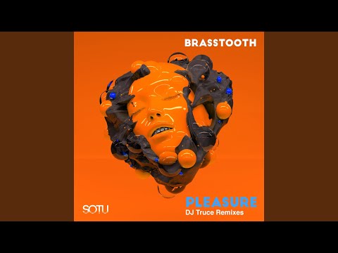 Pleasure (Radio Edit)