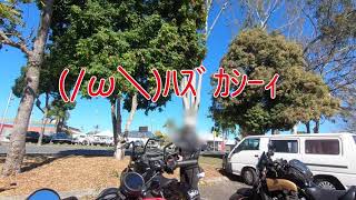 立ちゴケシリーズ　その2