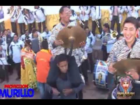 PROYECCION MURILLO  2014 MORENADA ✔