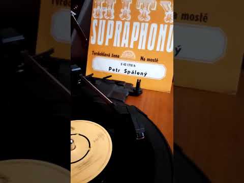 Petr Spálený - NA mostě