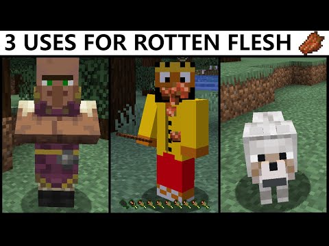 Unbelievable Uses for Rotten Flesh in Minecraft!!