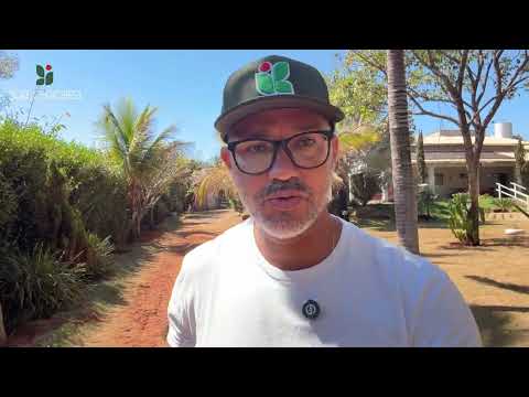 Vendo chácara no Condomínio Recanto Sonhado 2 saída para Nerópolis-GO