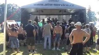 Video World Lobotomy