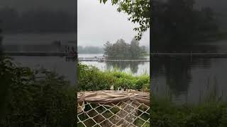 Download lagu Situ Patenggang Lake mp3