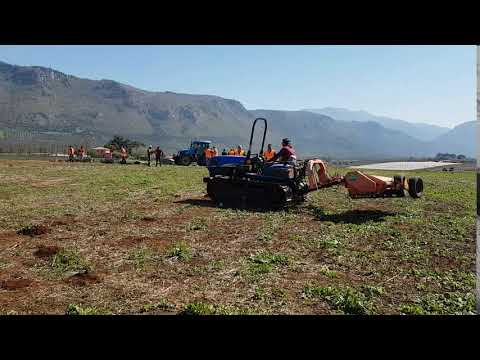 Patentino trattore FISLAS gommato e cingolato