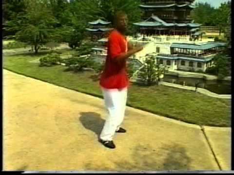 Jason Tankson-Bourelly teaches Roundkick backfist reverse punch