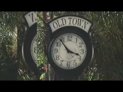 Jonny Blanco & Droza - Birds [Prod. Manuel] (OFFICIAL VISUALIZER)