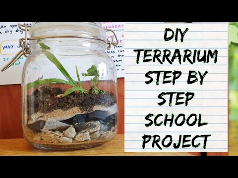 How to make a Terrarium/Garden in a jar- school project with explanation