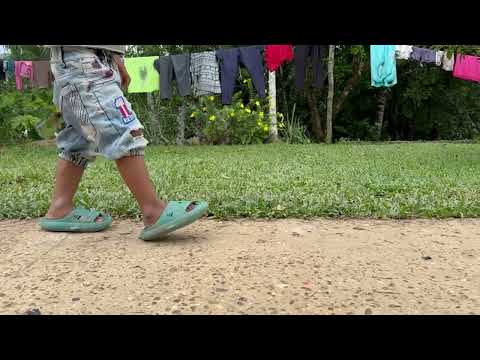 Tiburones en el Amazonas