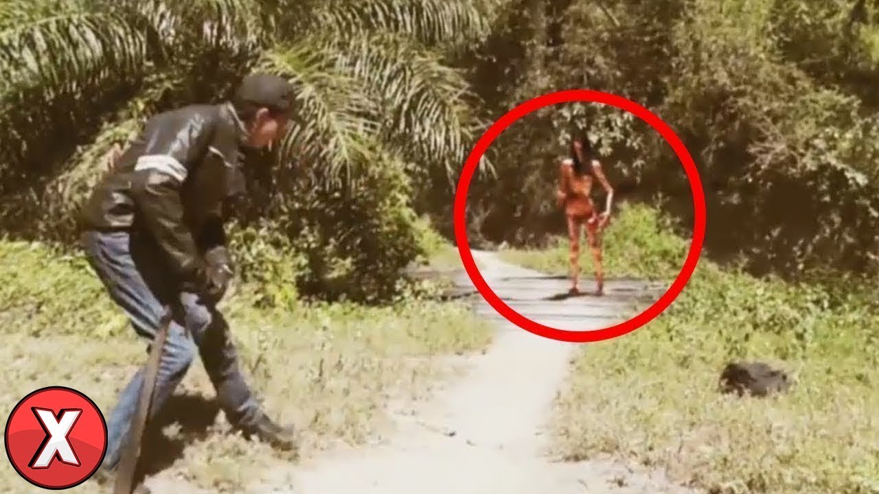 Vídeos que Tentaram APAGAR da INTERNET