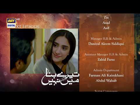 Tere Bina Mein Nahi Episode 24 | Teaser | ARY Digital