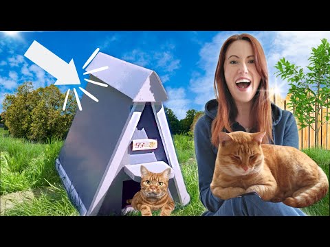 Making a  Cat House, DIY