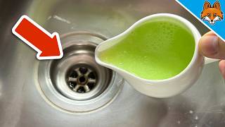 EVERYONE must do THESE 2 Steps on their Drain💥(Every 4,5 Weeks)🤯