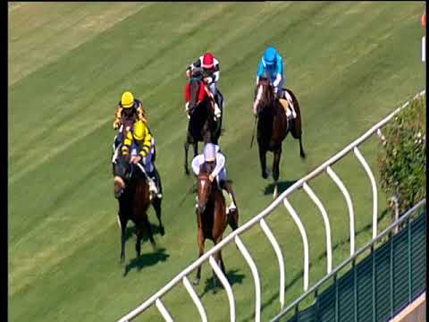 Galoppo 01/06/2018 - 2ª corsa