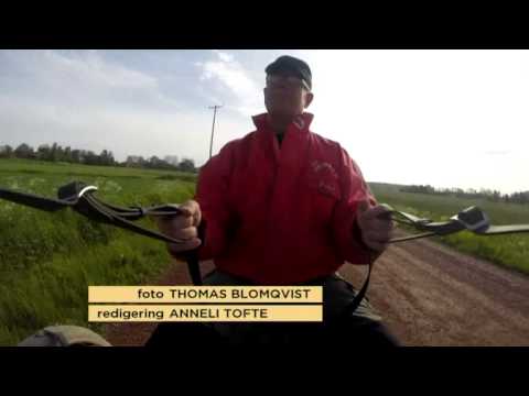 Senaste nytt inför travfesten i Östersund - Nyhetsmorgon (TV4)