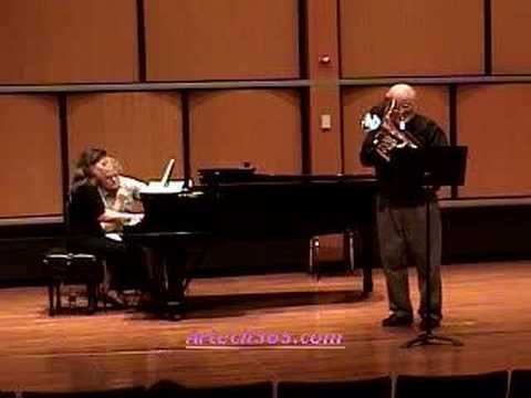 Horovitz Euphonium Concerto - Movement 1